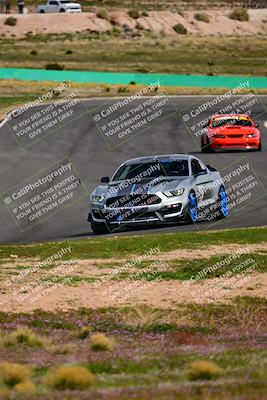 media/Feb-25-2024-Speed Ventures (Sun) [[b9a2a97a4d]]/Mustang Drivers Club/Session 3 (Turn 2)/